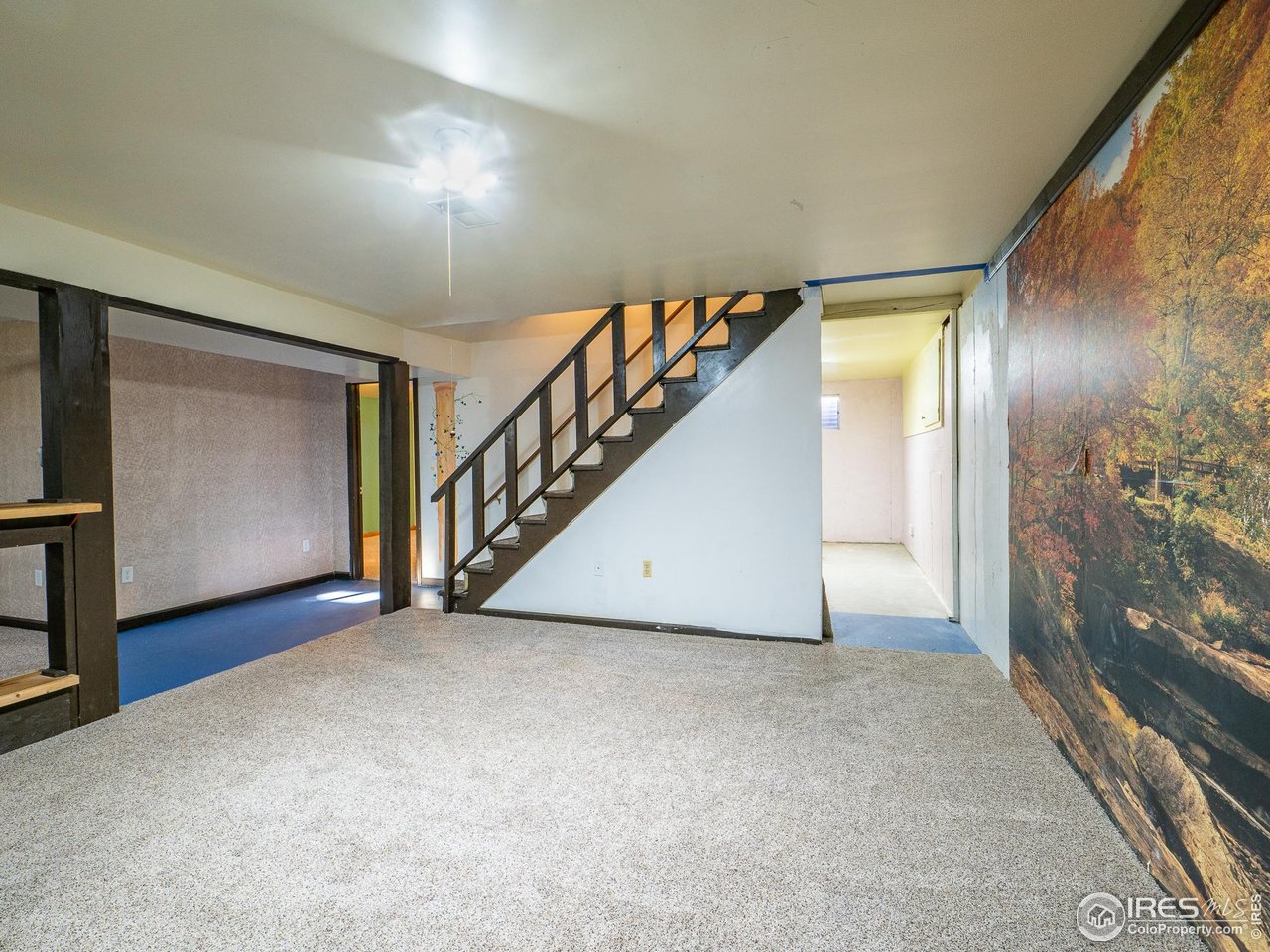 14 Daisy Court Windsor, CO 80550 - Photo 30 of 42 Basement Rec Room