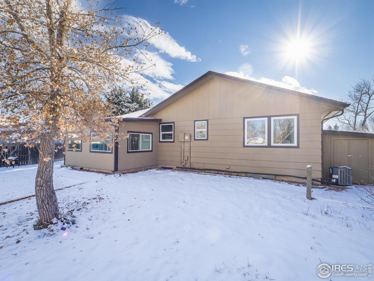 14 Daisy Court Windsor, CO 80550 - Photo 41 of 42 Large and Spacious Back Yard