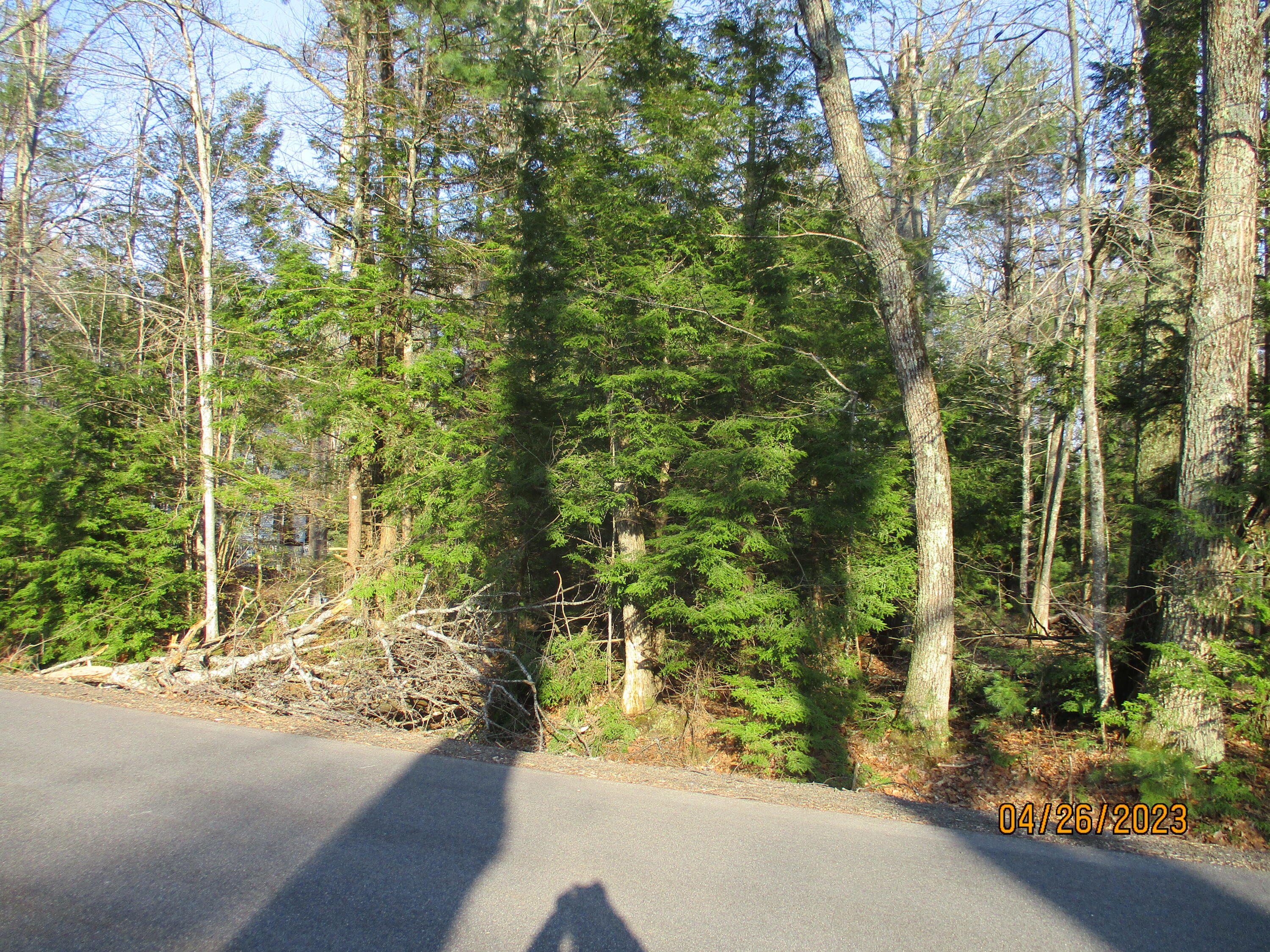 0 Cheney Woods Map 24 Road Wells, ME 04090 - Photo 1 of 8 IMG_0616