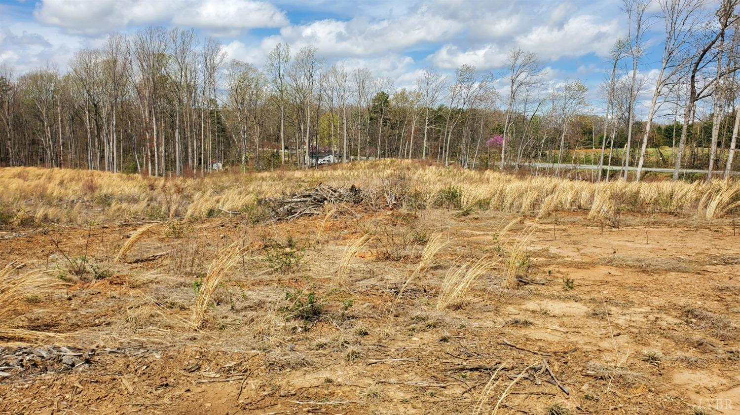 0 Doss Road Concord, VA 24538 - Photo 2 of 3