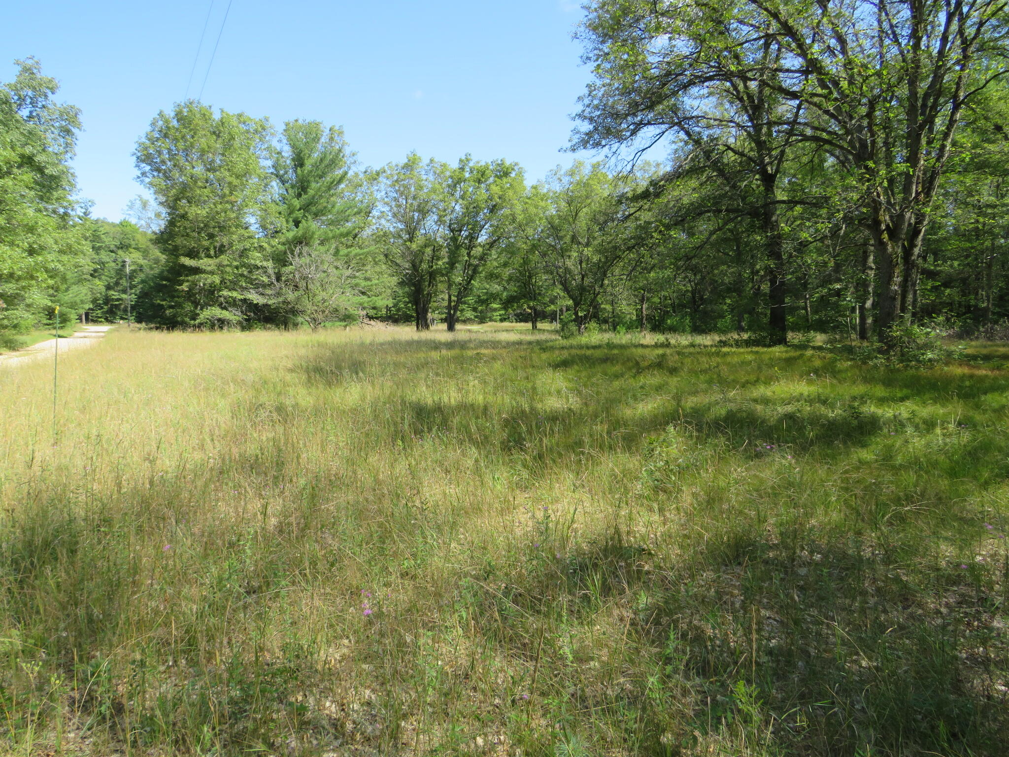 23627 Cutler Road Newaygo, MI 49337 - Photo 31 of 36 IMG_2019