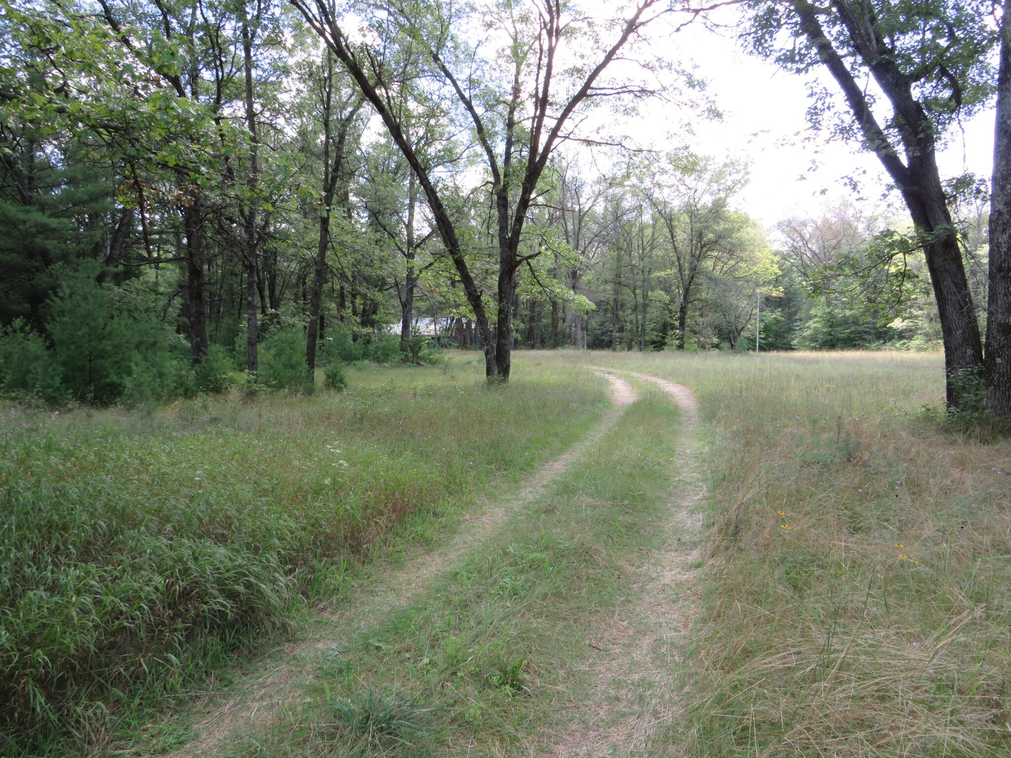 23627 Cutler Road Newaygo, MI 49337 - Photo 33 of 36 IMG_2025