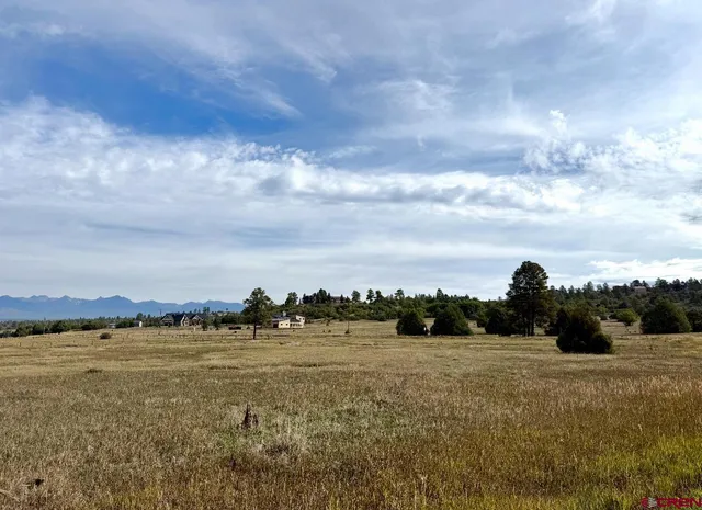 an aerial view of ocean and trees