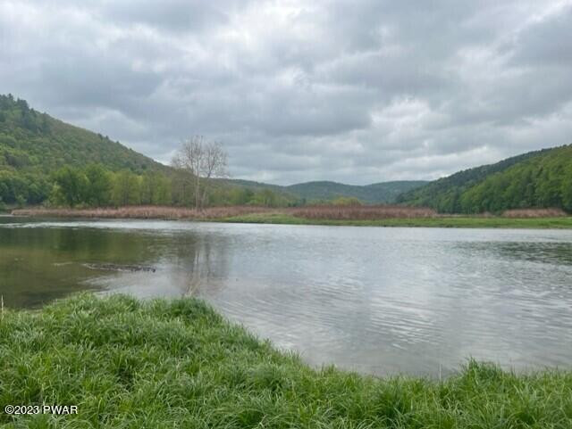 2 Warren Road Hancock, NY 13783 - Photo 19 of 29