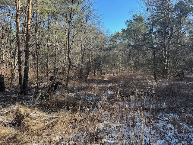 0 North 31 Road Manton, MI 49663 - Photo 5 of 13