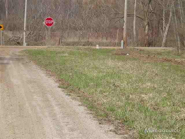 V/l Snover Road Carsonville, MI 48419 - Photo 1 of 6