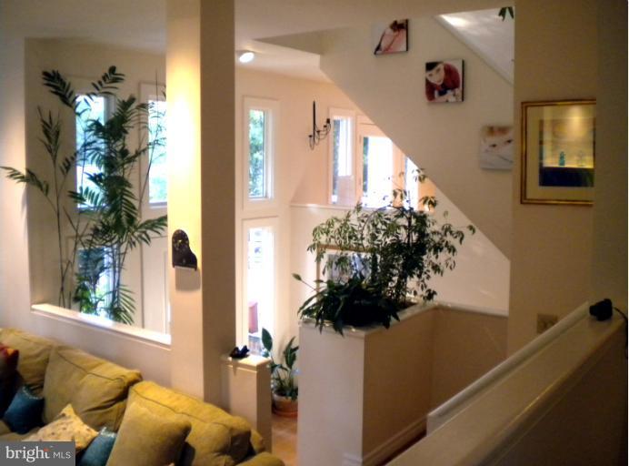 406 Ellsworth Drive Silver Spring, MD 20910 - Photo 24 of 30 Interior (General)