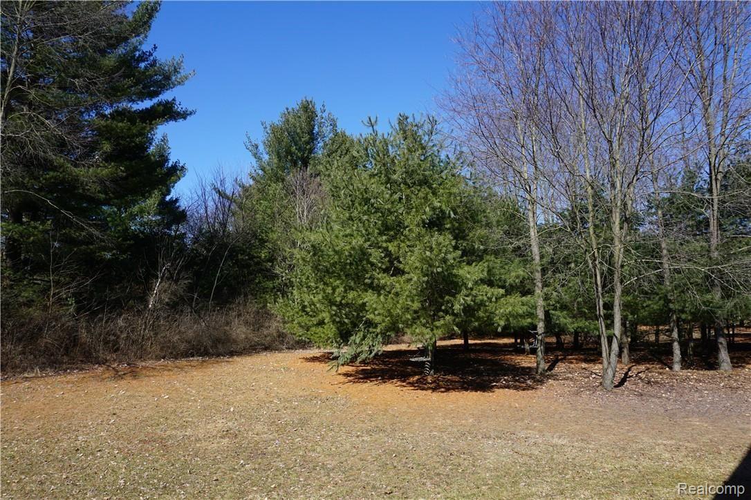 2169 Emerson Road Goodells, MI 48027 - Photo 11 of 34 DSC00752.JPG