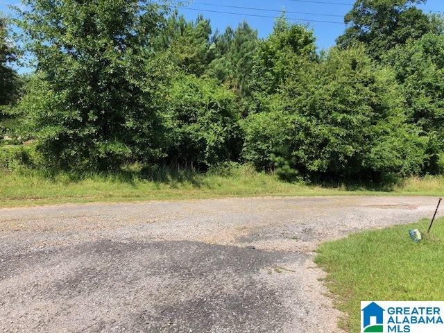 0 Bankhead Road, Unit 32 Quinton, AL 35130 - Photo 4 of 5