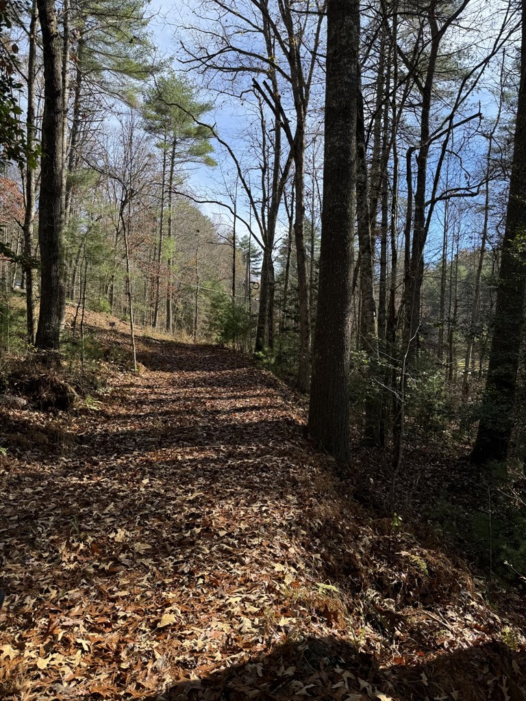 0 Rockridge Road Murphy, NC 28906 - Photo 2 of 9