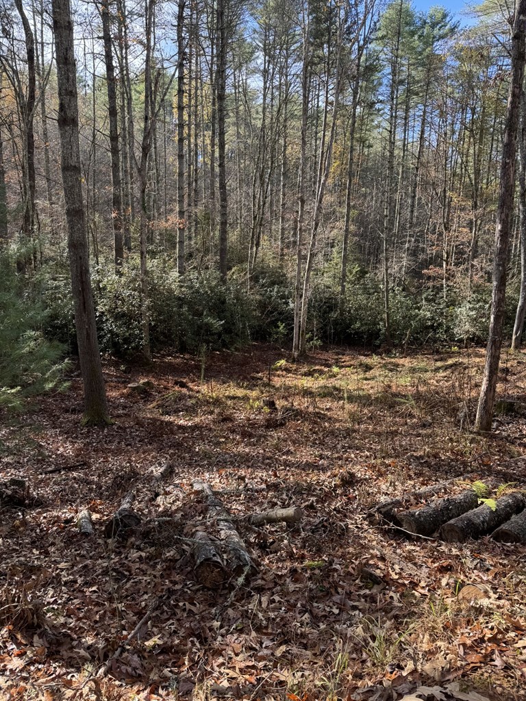 0 Rockridge Road Murphy, NC 28906 - Photo 4 of 9