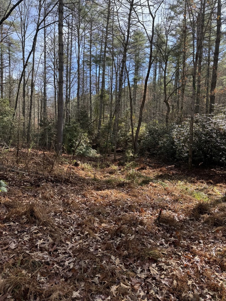 0 Rockridge Road Murphy, NC 28906 - Photo 5 of 9