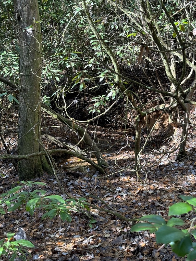 0 Rockridge Road Murphy, NC 28906 - Photo 6 of 9