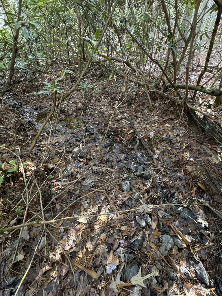 0 Rockridge Road Murphy, NC 28906 - Photo 7 of 9