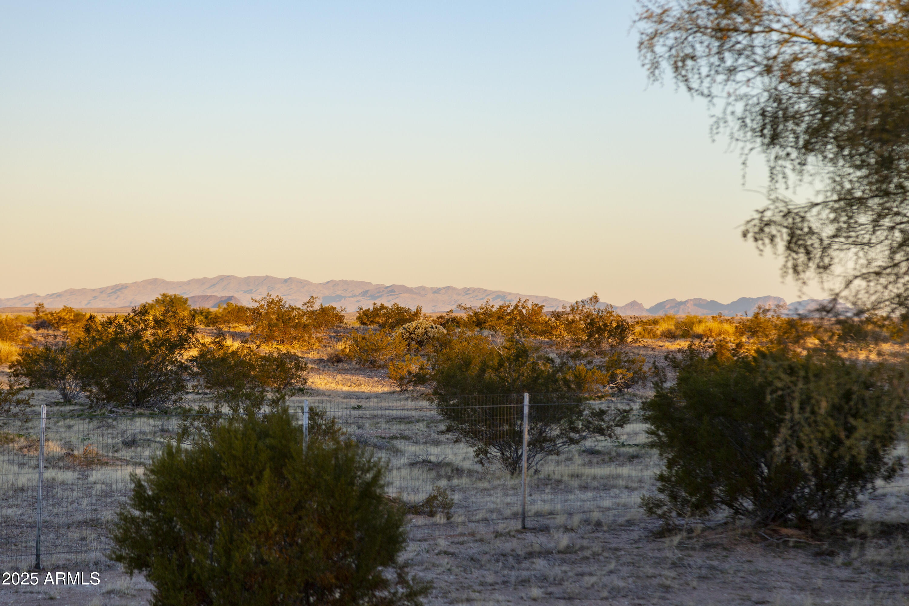2602 South Sd Forest Bouse, AZ 85325 - Photo 3 of 4 a view of mountain view with lots of trees