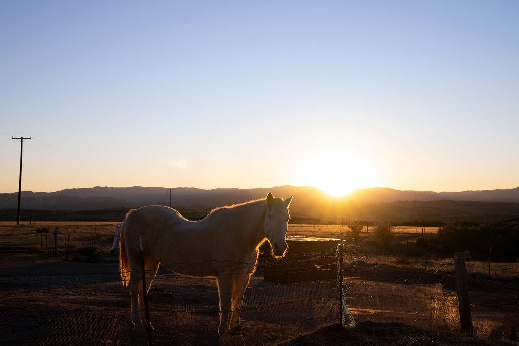 63155 Argyle Road King City, CA 93930 - Photo 4 of 46 a view of a terrace