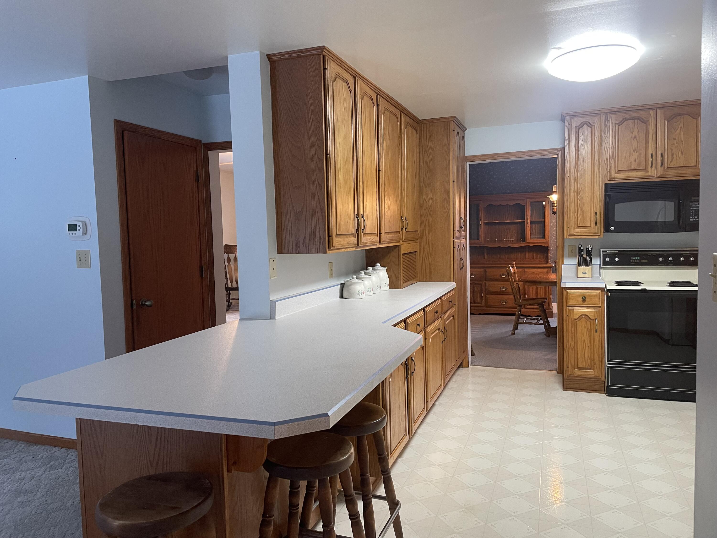 526 Pinetree Road Kohler, WI 53044 - Photo 5 of 26 Kitchen
