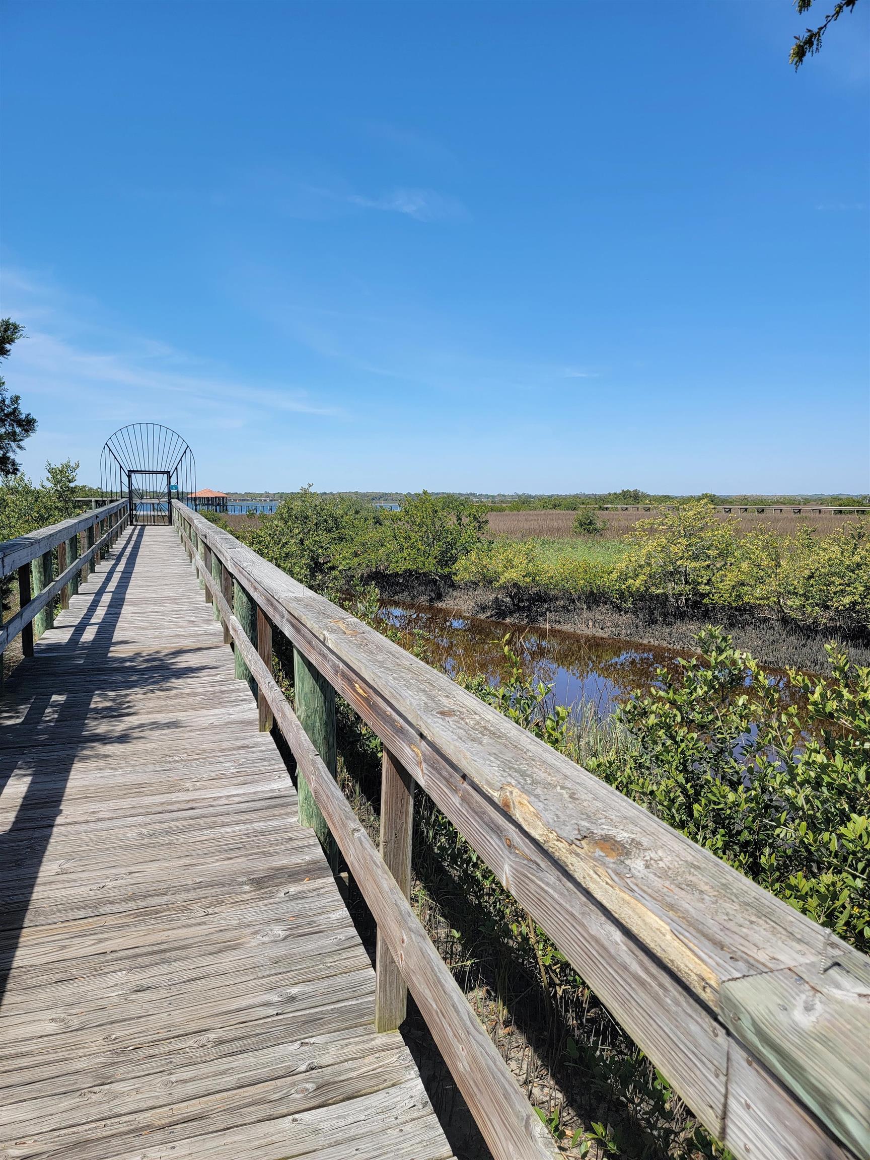 348 San Nicolas Way St. Augustine, FL 32080 - Photo 48 of 62