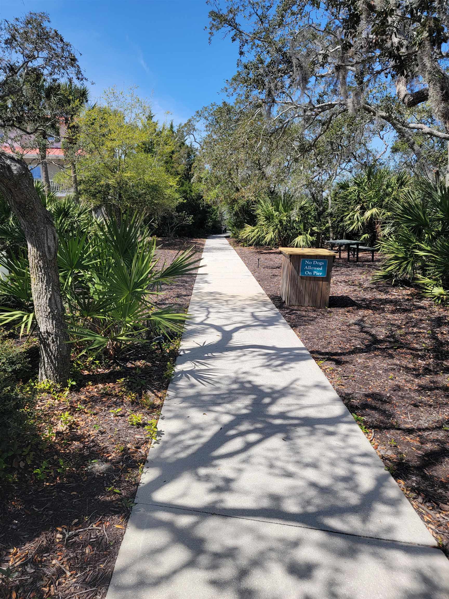 348 San Nicolas Way St. Augustine, FL 32080 - Photo 51 of 62