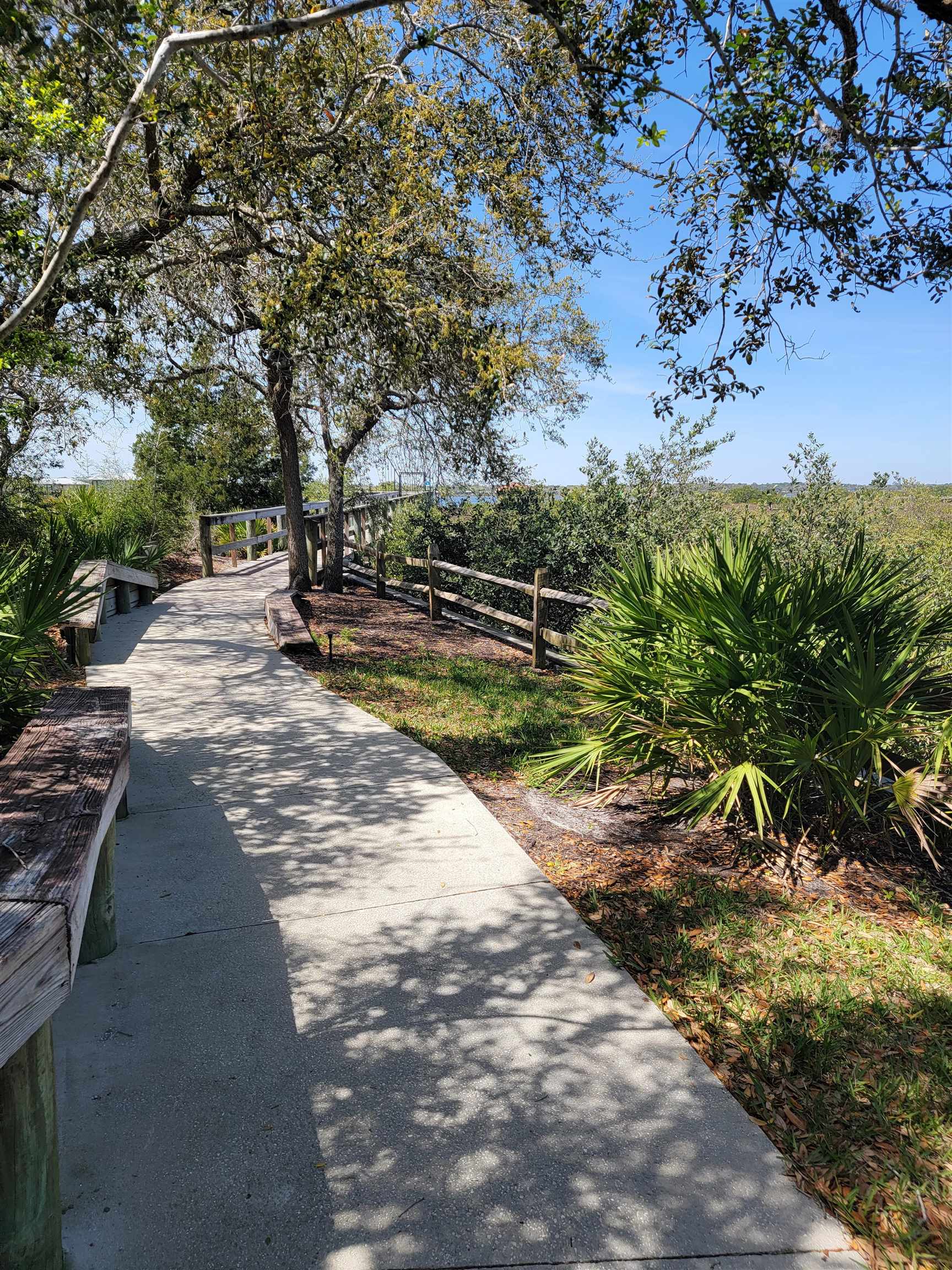 348 San Nicolas Way St. Augustine, FL 32080 - Photo 53 of 62