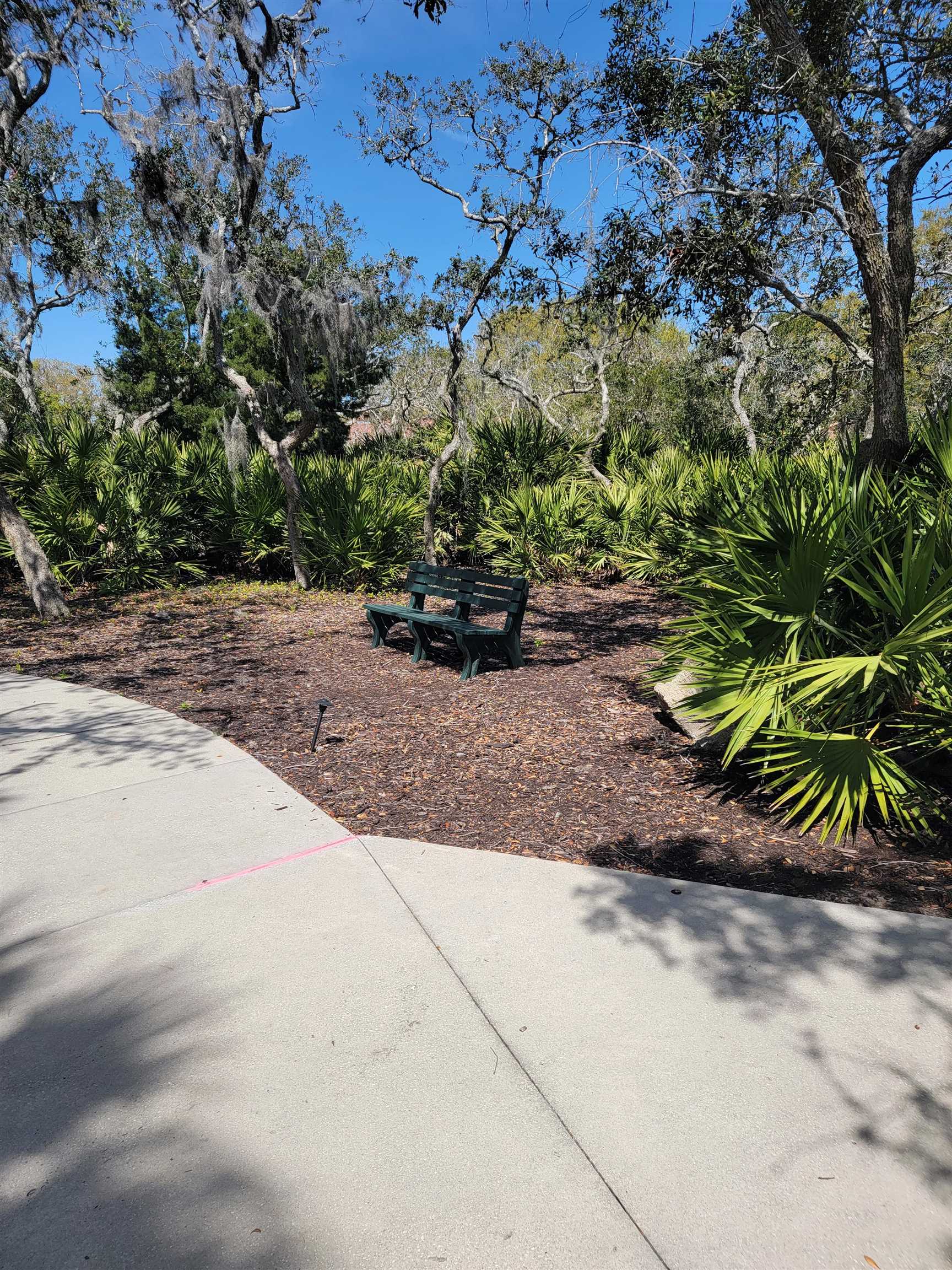 348 San Nicolas Way St. Augustine, FL 32080 - Photo 57 of 62