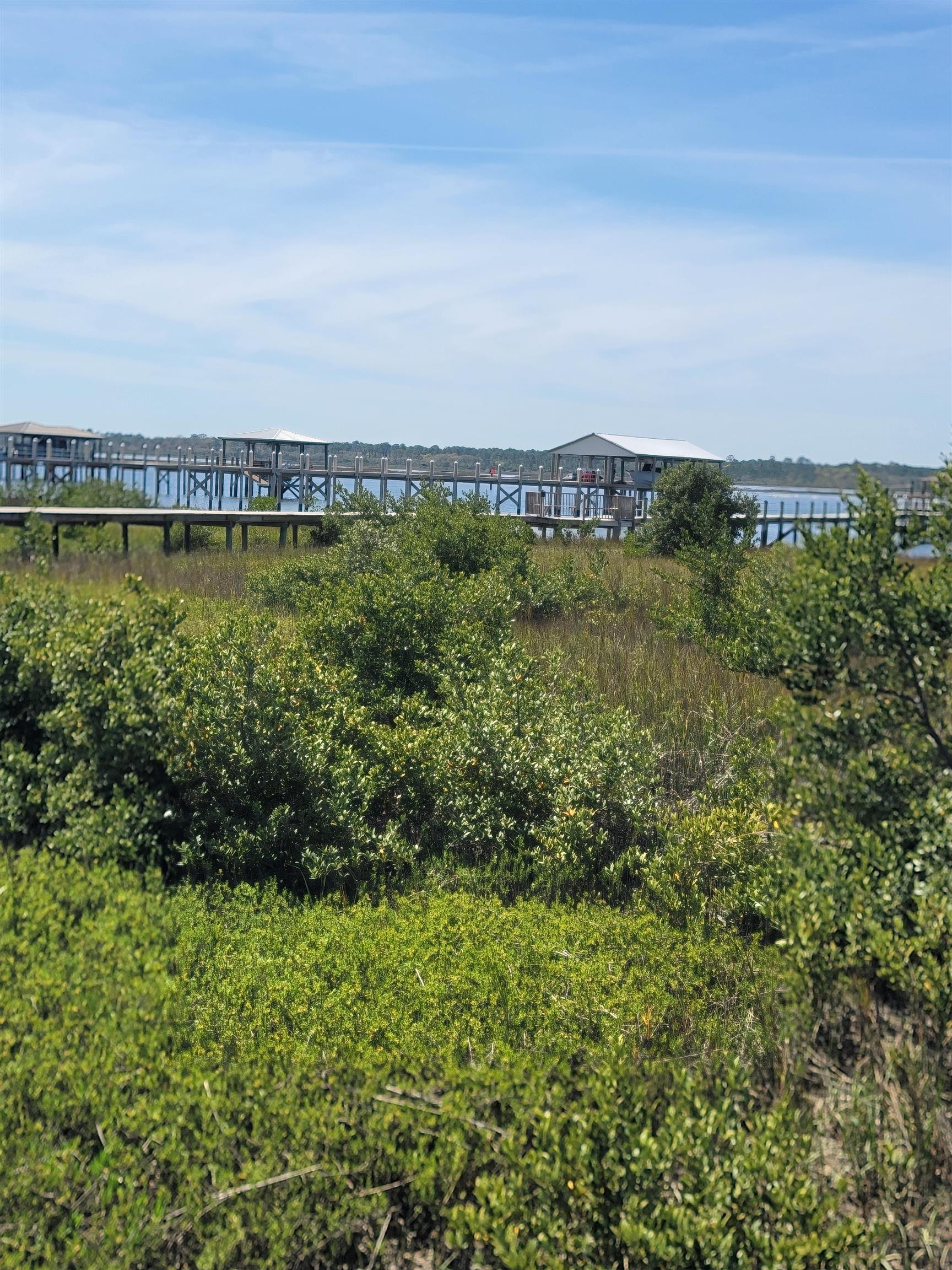 348 San Nicolas Way St. Augustine, FL 32080 - Photo 58 of 62