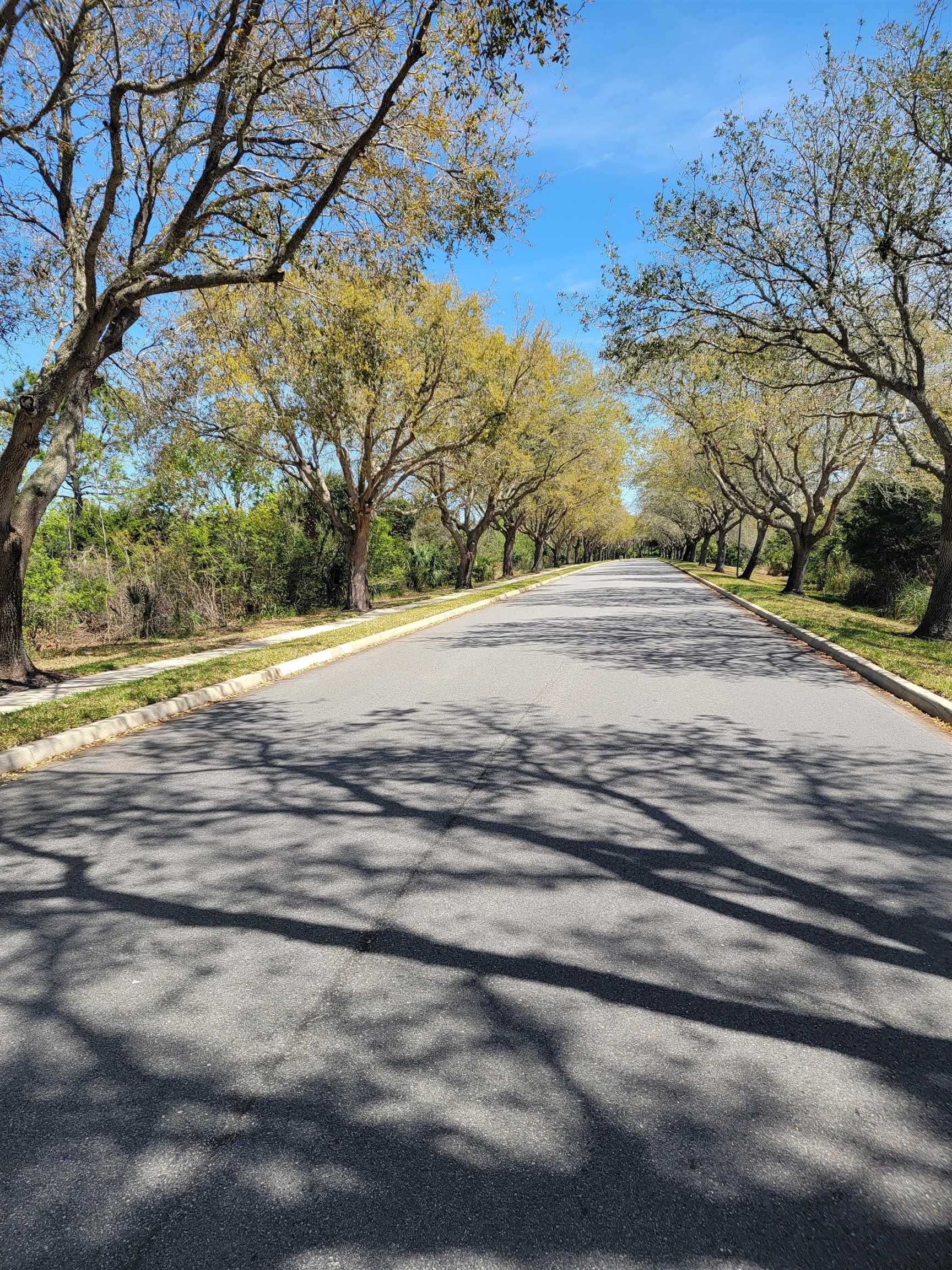 348 San Nicolas Way St. Augustine, FL 32080 - Photo 59 of 62