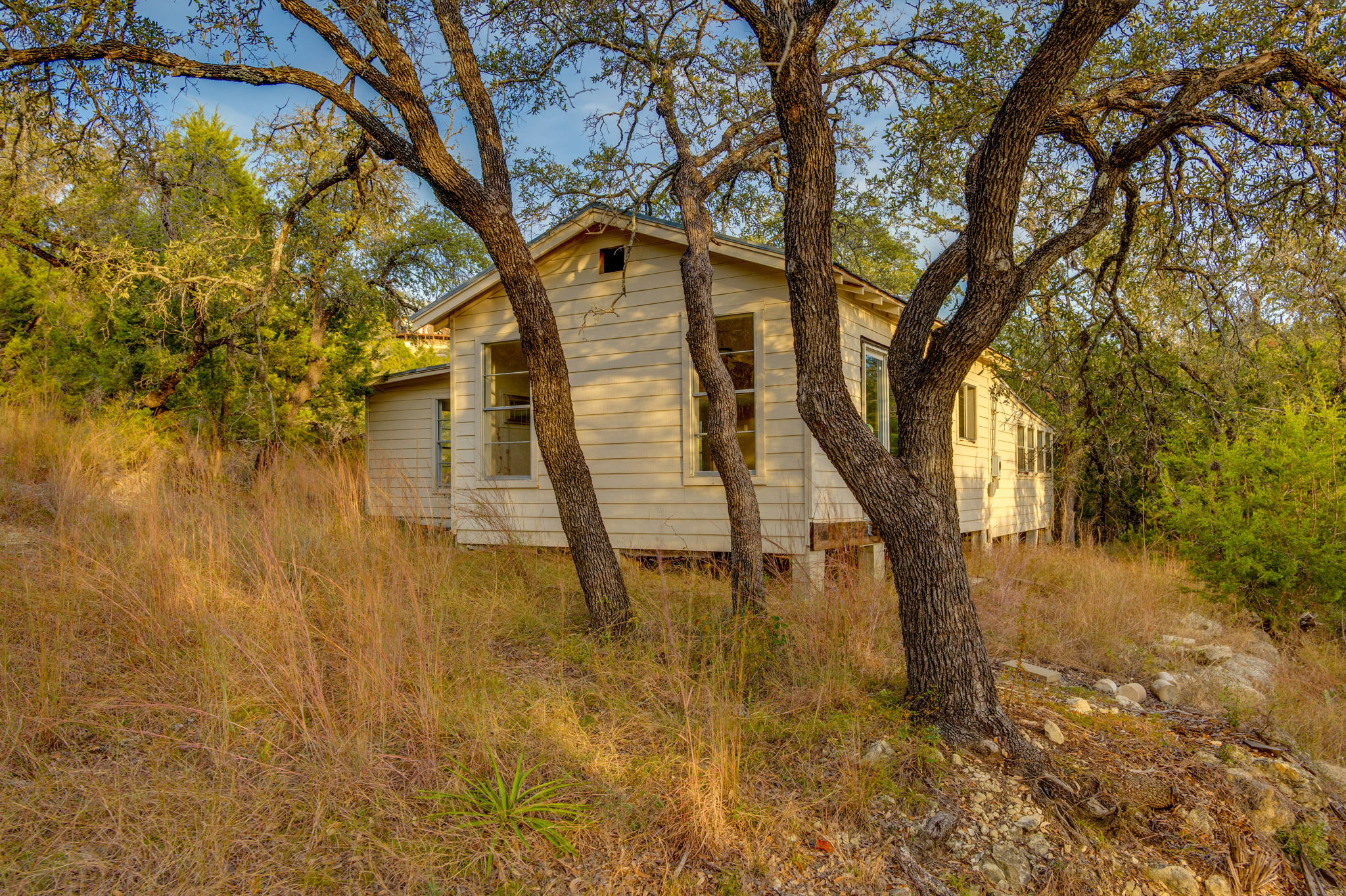 24105 Ranch To Market 1431 Marble Falls, TX 78654 - Photo 9 of 16 a view of a yard with a tree