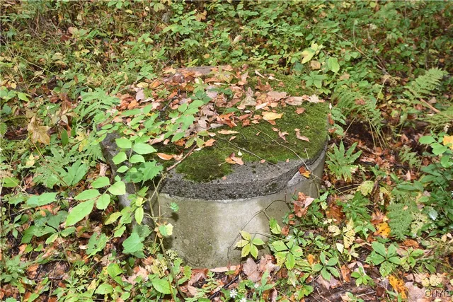 $100,000 | 8052 Wood Road, Trenton, NY 13354