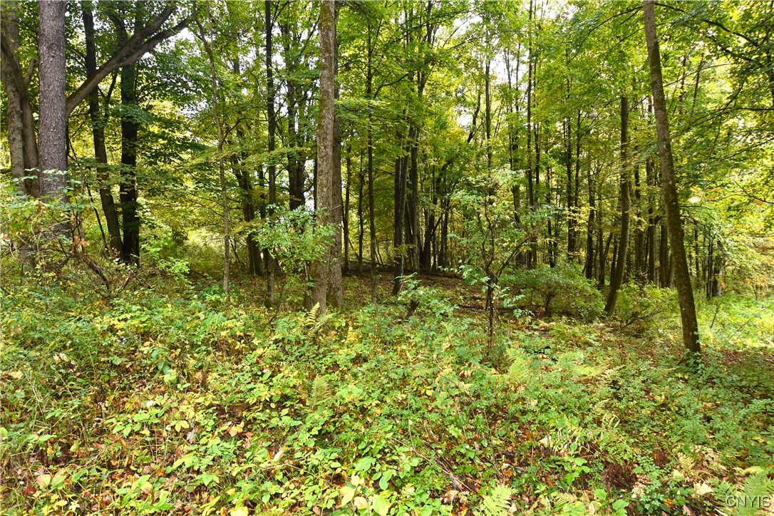 8052 Wood Road Trenton, NY 13354 - Photo 14 of 18