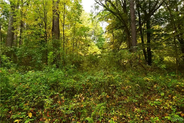 $100,000 | 8052 Wood Road, Trenton, NY 13354