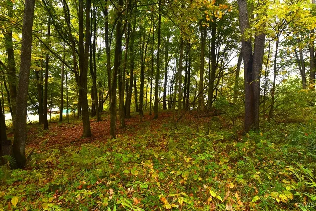 $100,000 | 8052 Wood Road, Trenton, NY 13354