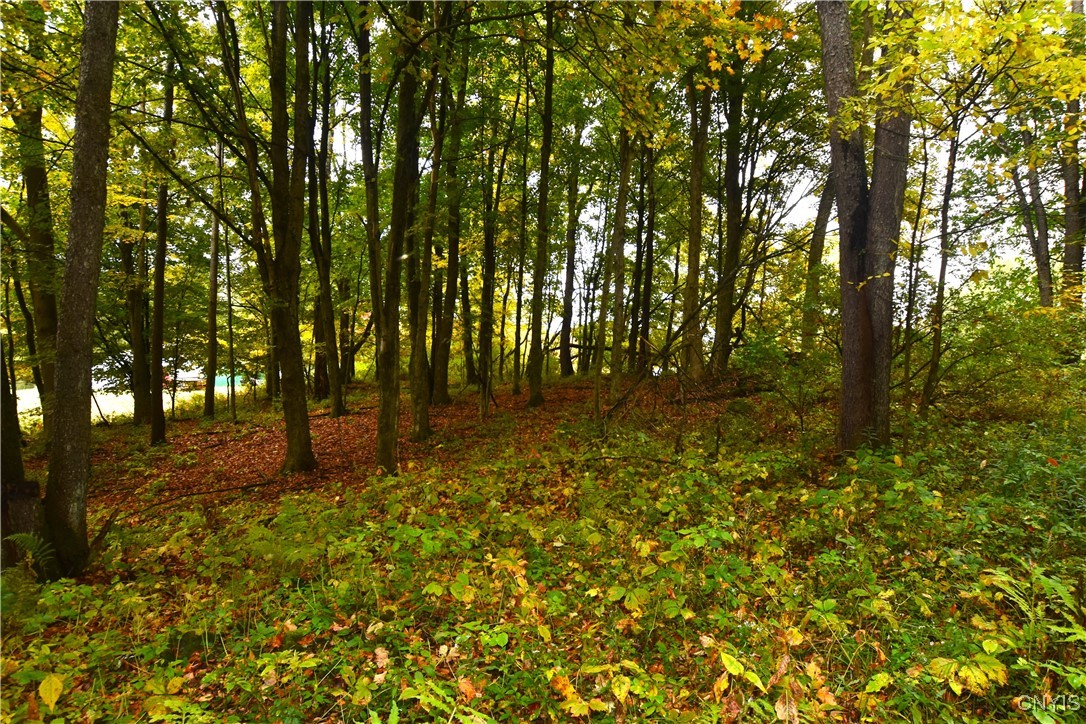 8052 Wood Road Trenton, NY 13354 - Photo 16 of 18