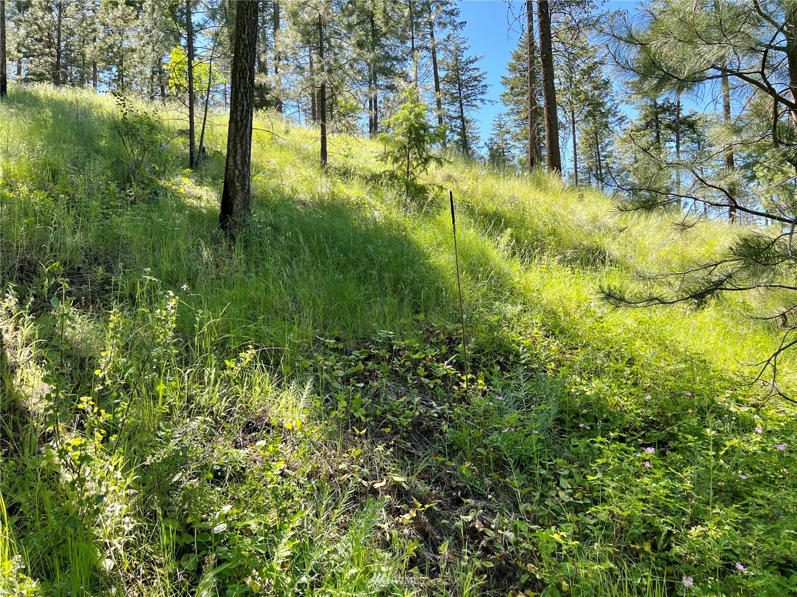 111-tbd 111-tbd Superstition Road Riverside, WA 98849 - Photo 5 of 19 Gallery Image 5