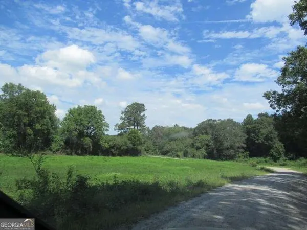 a view of a yard with a tree