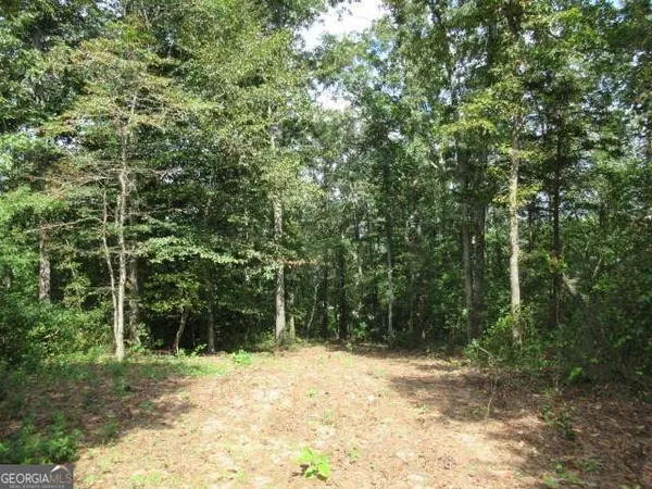 a view of a yard with plants and trees