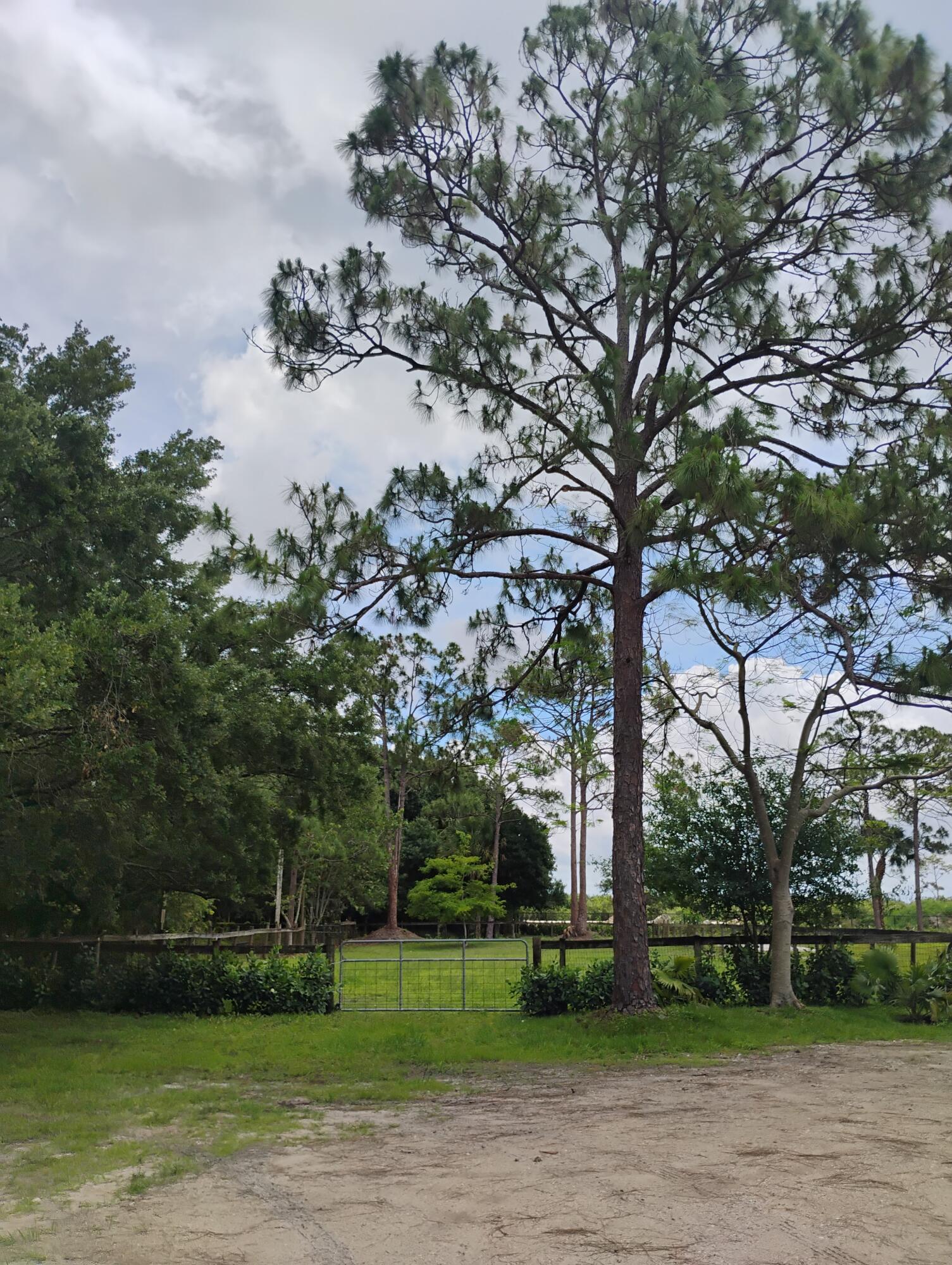 15531 42nd Road North Loxahatchee Groves, FL 33470 - Photo 20 of 62 IMG_20260505_123213362