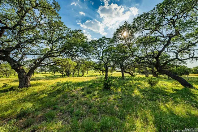 $8,750,000 | 38 Seewald Road, Boerne, TX 78006