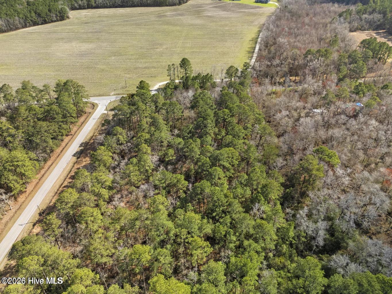 Lot 2 Page Road Burgaw, NC 28425 - Photo 12 of 12 20260408211346053327000000-o