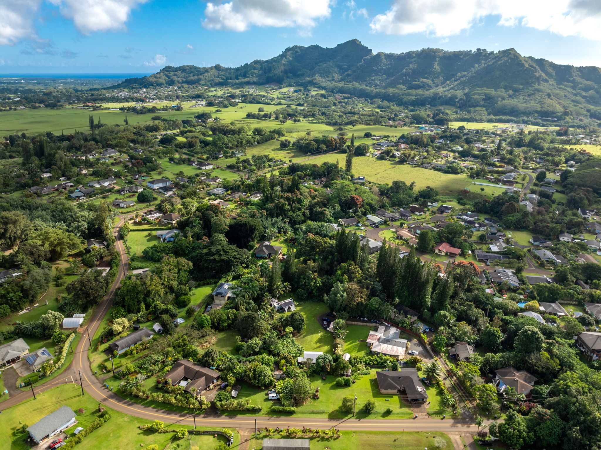 6409 A Opaekaa Road, Unit 2 Kapaa, HI 96746 - Photo 28 of 29 Gallery Image 28