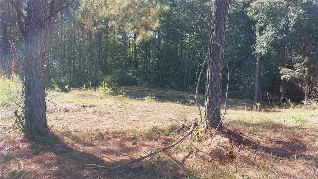 0 Granada Drive South Fulton, GA 30349 - Photo 2 of 4 a view of a yard with large trees