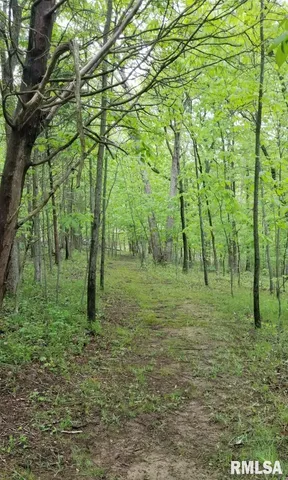 $28,000 | Lot 41 Luxor Lndg Lane, Goreville, IL 62939