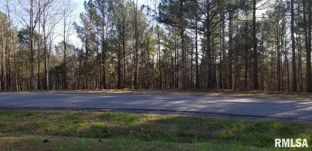 $28,000 | Lot 41 Luxor Lndg Lane, Goreville, IL 62939