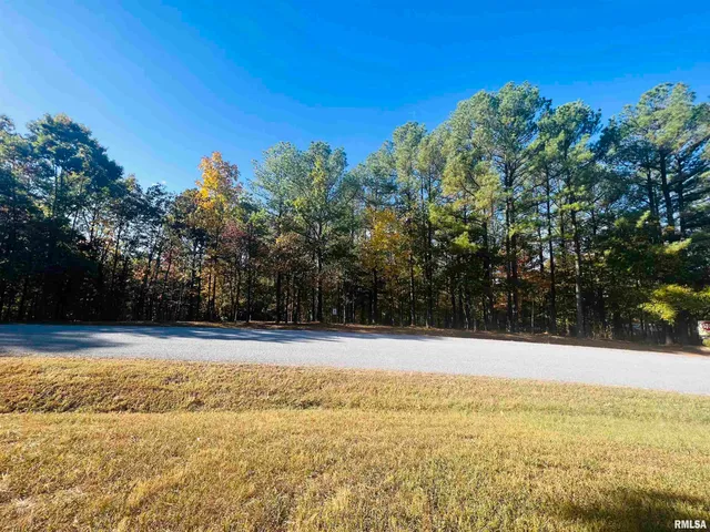 $28,000 | Lot 41 Luxor Lndg Lane, Goreville, IL 62939