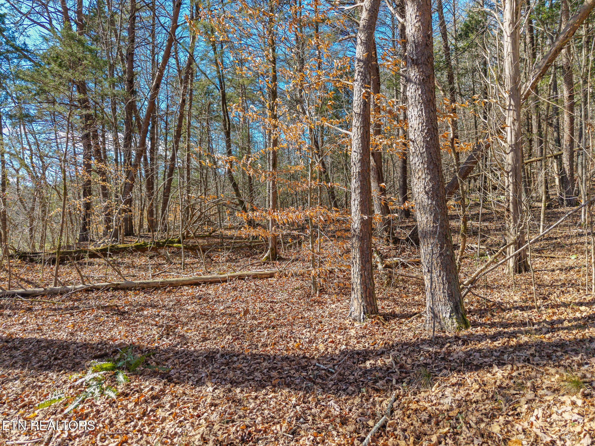 0 Happy Hollow Road Madisonville, TN 37354 - Photo 7 of 11