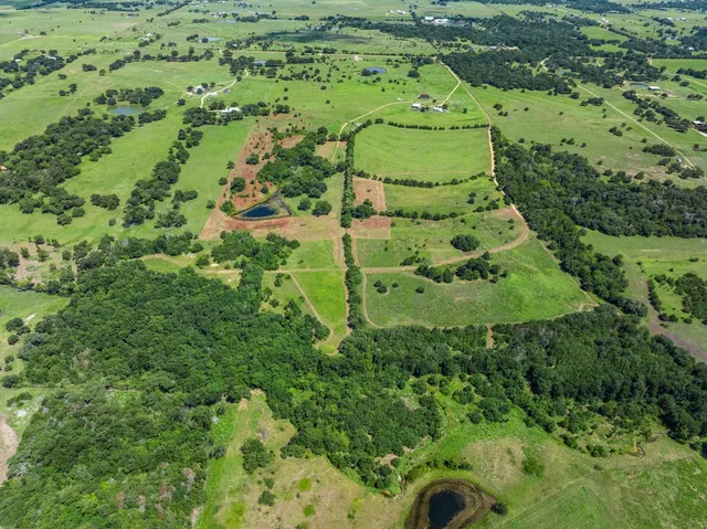 a view of a garden with a yard