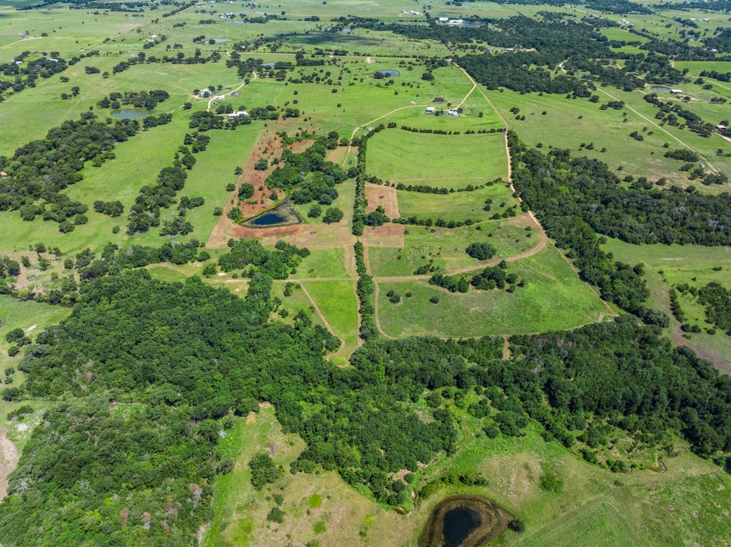 1190 North Nassau Road Round Top, TX 78954 - Photo 11 of 37 a view of a garden