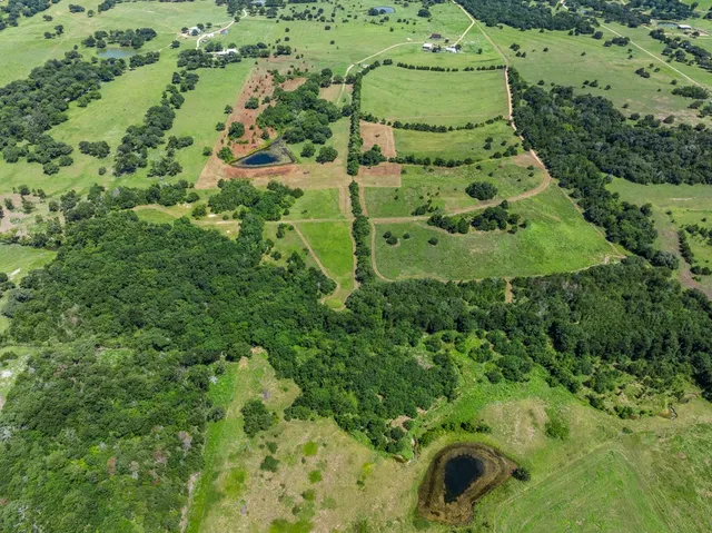a view of a back yard of the green space