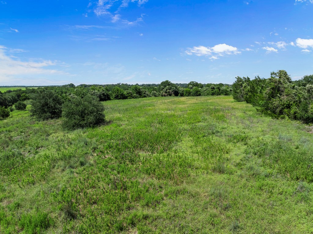 1190 North Nassau Road Round Top, TX 78954 - Photo 21 of 37 a view of a green field