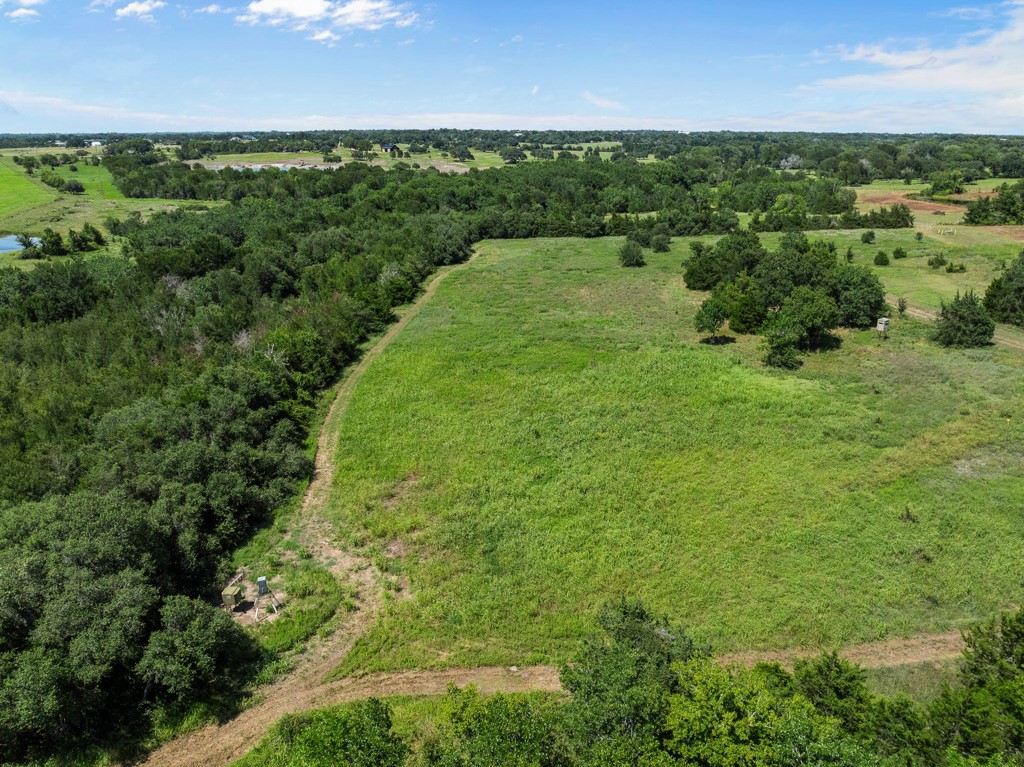 1190 North Nassau Road Round Top, TX 78954 - Photo 23 of 37 an aerial view of a houses with outdoor space and trees all around
